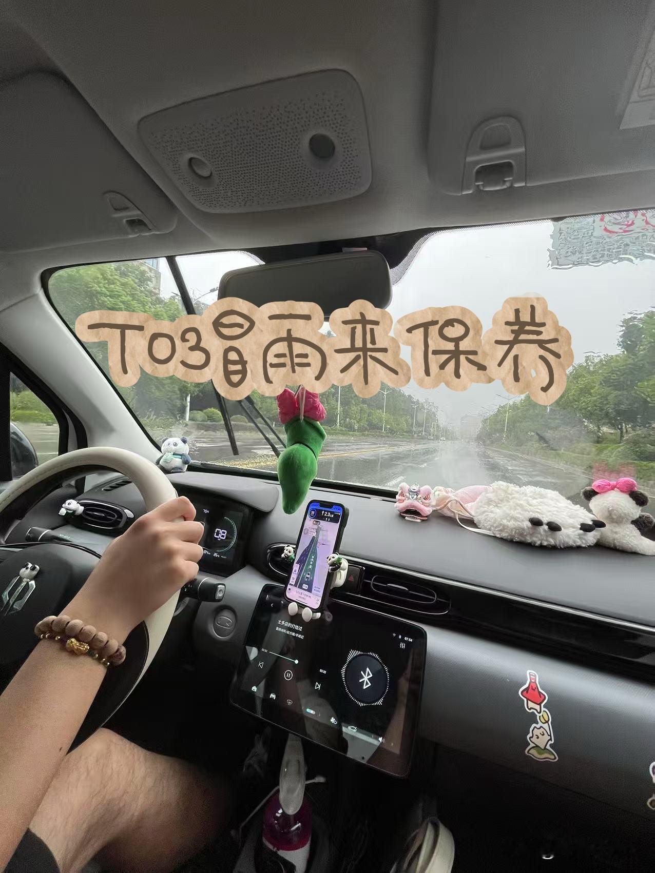 T03冒雨来保养
最近几天台风来光顾江浙沪地区，雨水下的不停歇，巧合的是T03上
