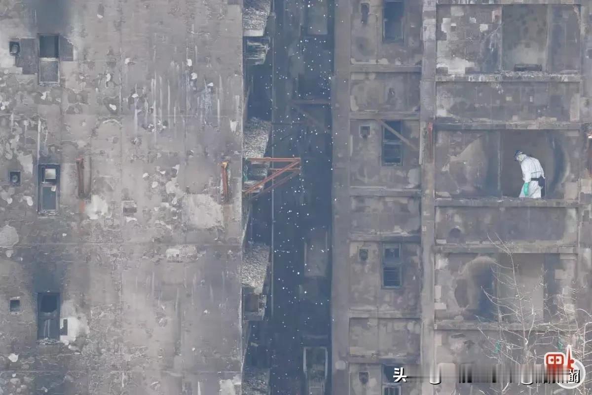 灰烬之下：大埔火灾七日搜救，遗体辨认仍在继续

当烈焰熄灭，悲痛的搜索才刚刚开始