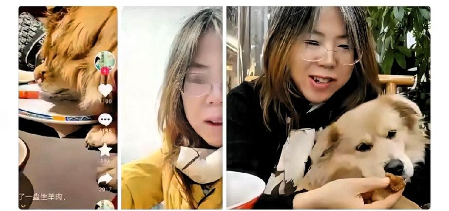 宠物权绝不能等同甚或凌驾于人权

北京女子让宠物狗在涮肉店同桌进餐，之所以闹得沸