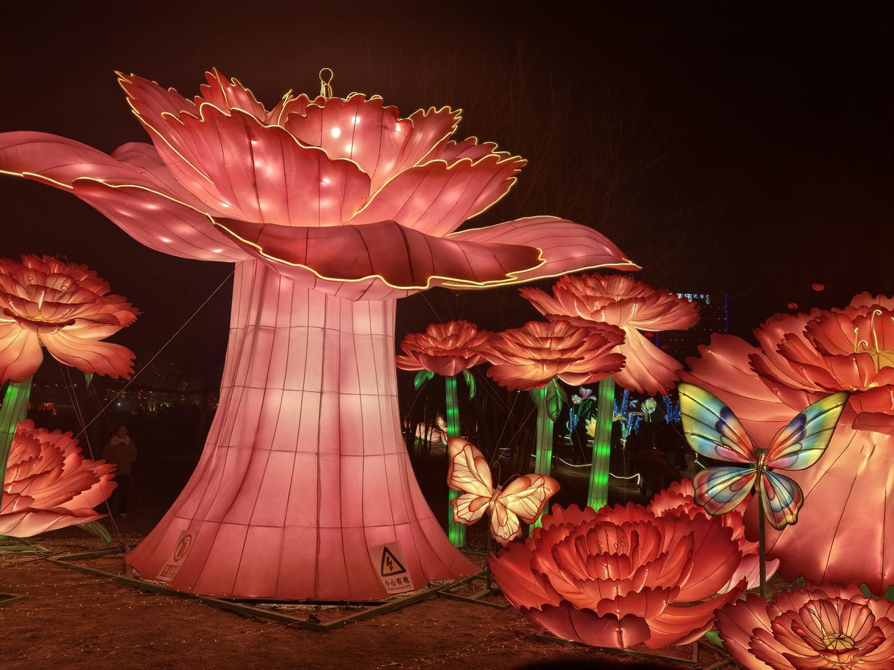 73年，逢九年的我，在妈家吃了饺子，啃了羊骨头，吃完一推碗。

幸福感满满！
