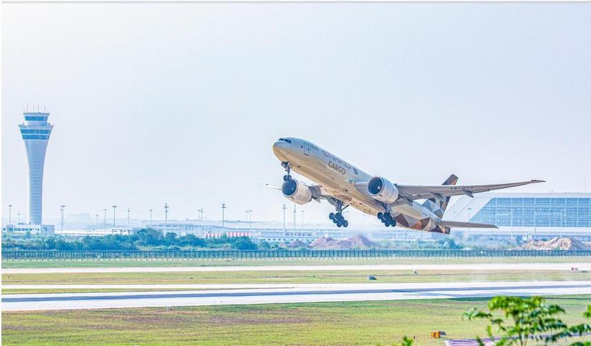 鄂州花湖机场要建设成货运枢纽，有不少关键举措。政策上，省委十二届八次全会提出谋划