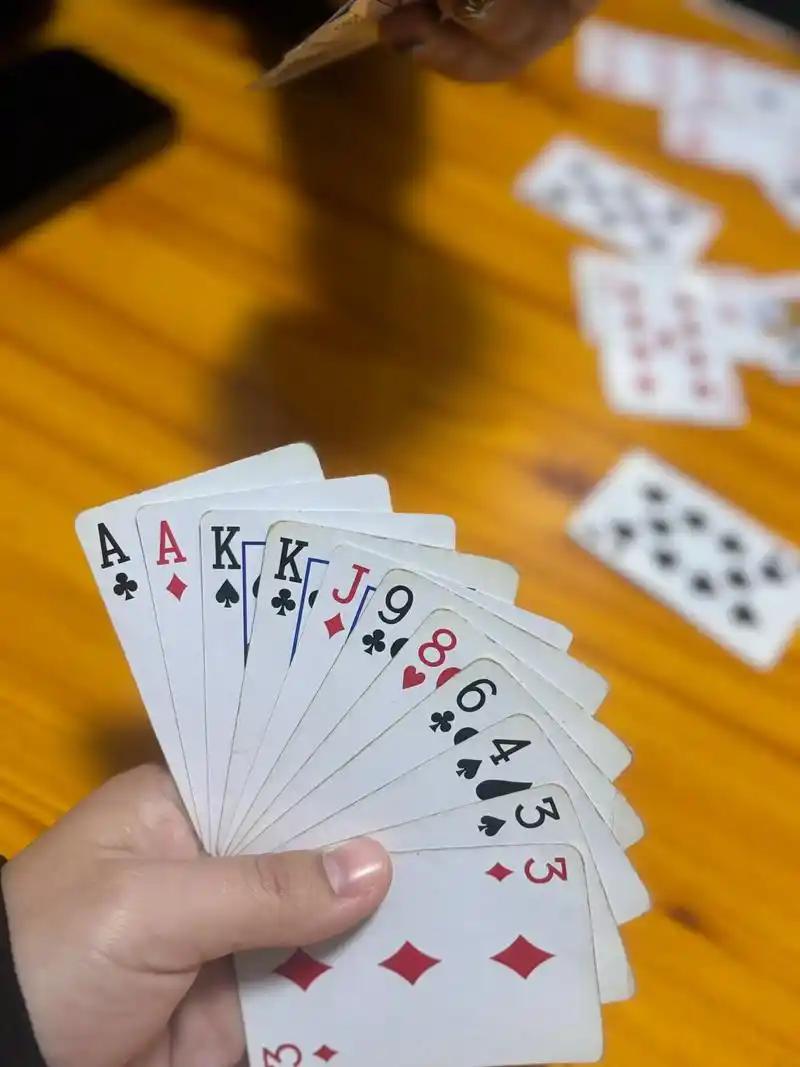 现在很多人热衷于打掼蛋，说是集升级，交公粮，挤黑尖一体，学了一次，感觉没啥新意，