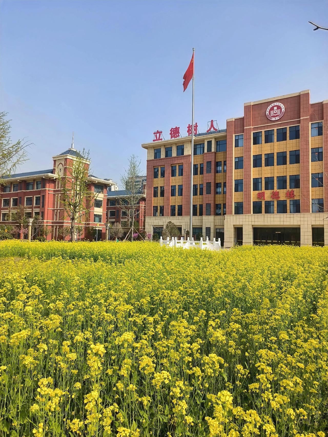 高老师介绍了作业管理的经验。她把作业当成奖励。她在原则，能够在课堂上完成的作业，