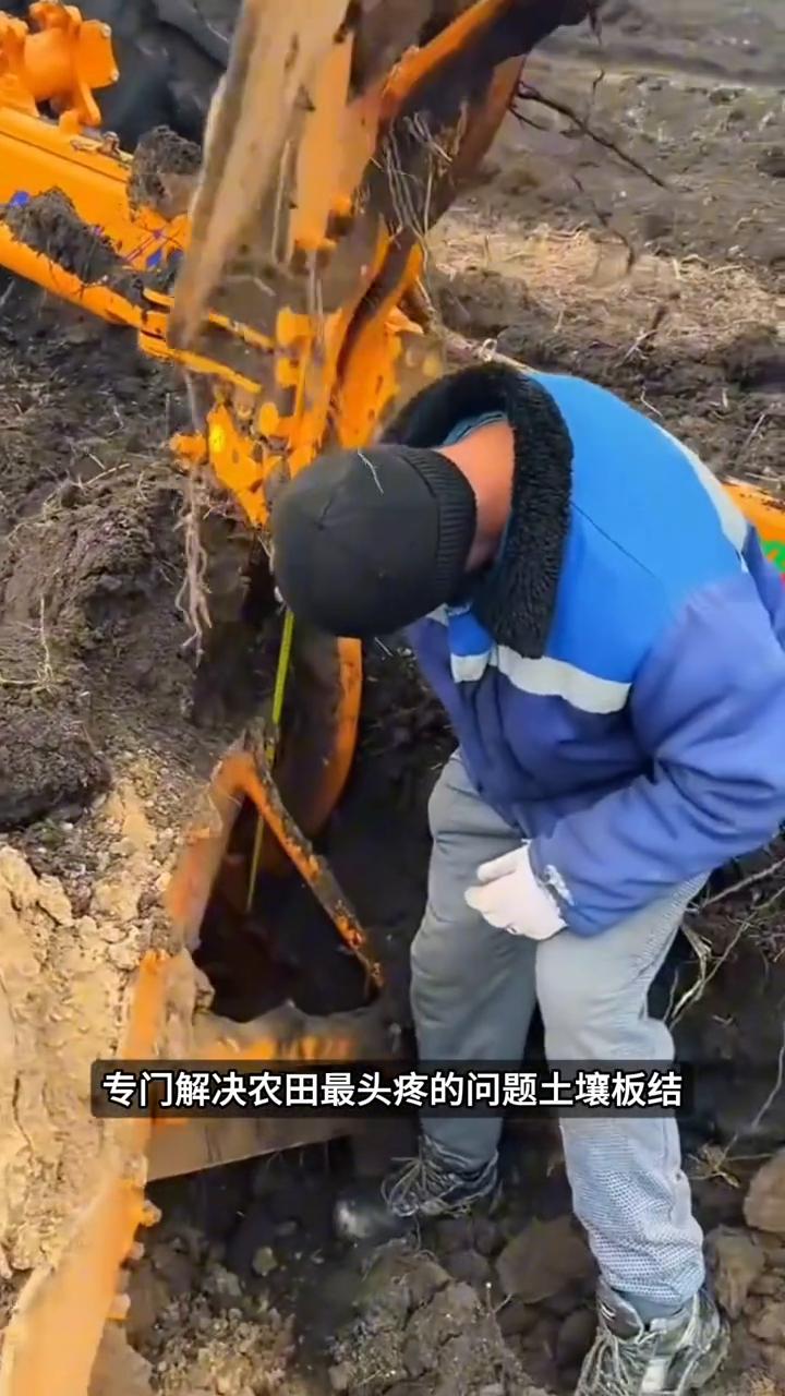 五机拔河犁地。
为什么翻地需要出动五台推土机协同作业？如果不是亲眼所见，没人会想