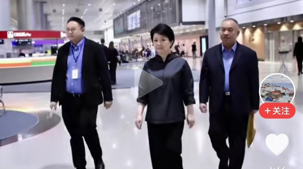 卢秀燕派出郑照新、陈学圣带队前往东莞参加台湾名品博览会，外界普遍把这次出访解读为