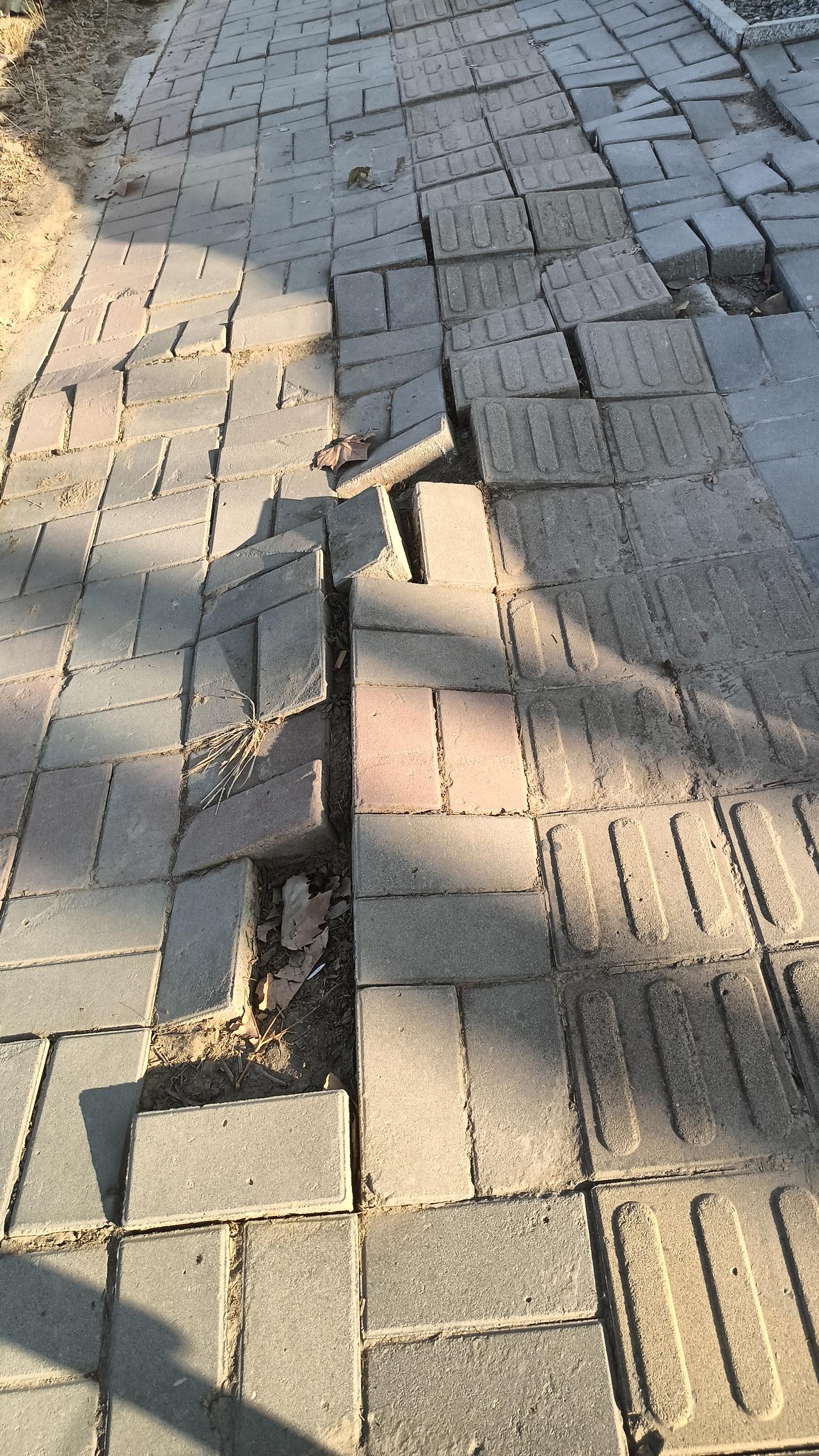 保定城市主路人行道“鼓大包”，道砖破损严重，市民盼修缮！
  近日，到莲池区三丰