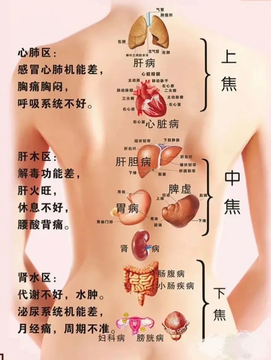 养生与健康