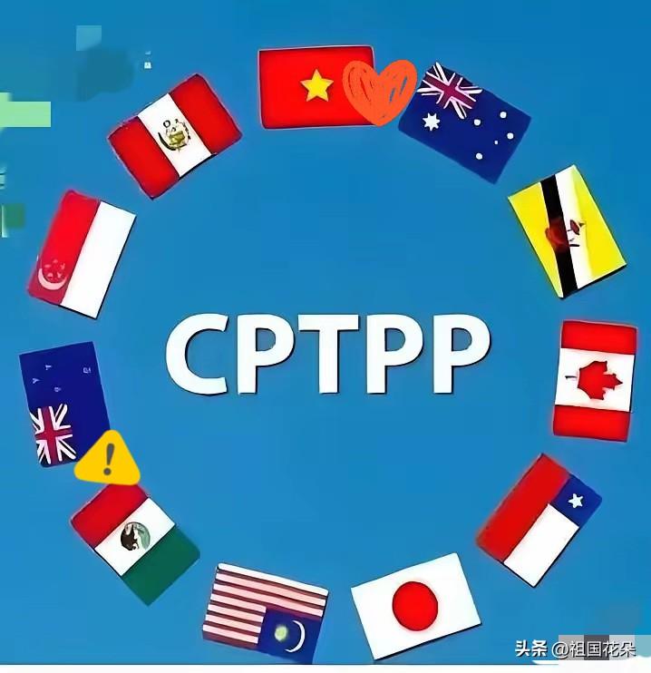 韩国已经“基本决定”加入CPTPP，预计6月下旬开内阁会议正式宣布，日本表示支持