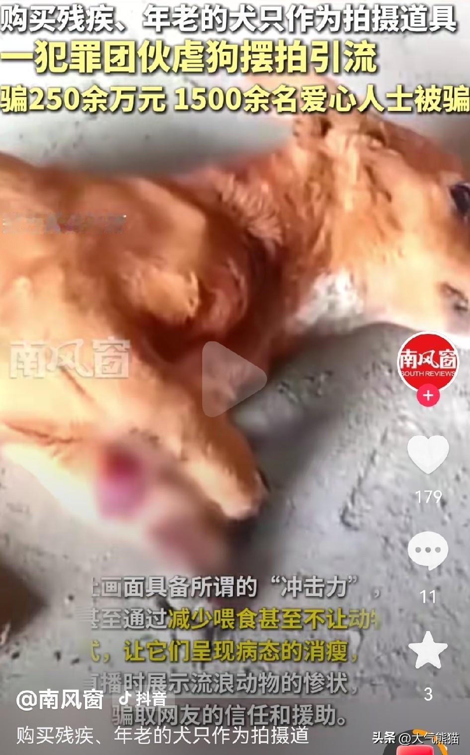 如果没有媒体大肆宣传对宠物狗的溺爱，如果没有这些爱心人士的泛滥，这样的虐狗事件还