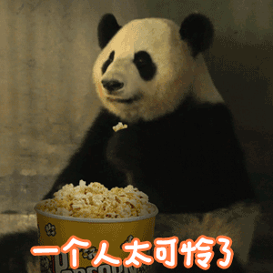 贤贤带崽野培奶爸保驾护航  贤贤的野培之旅，因牟奶爸而多了份安心。他的悉心照料，