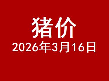 2026年3月16日猪价！
猪价继续呈现涨跌调整的态势，虽然大部分地区延续小幅度