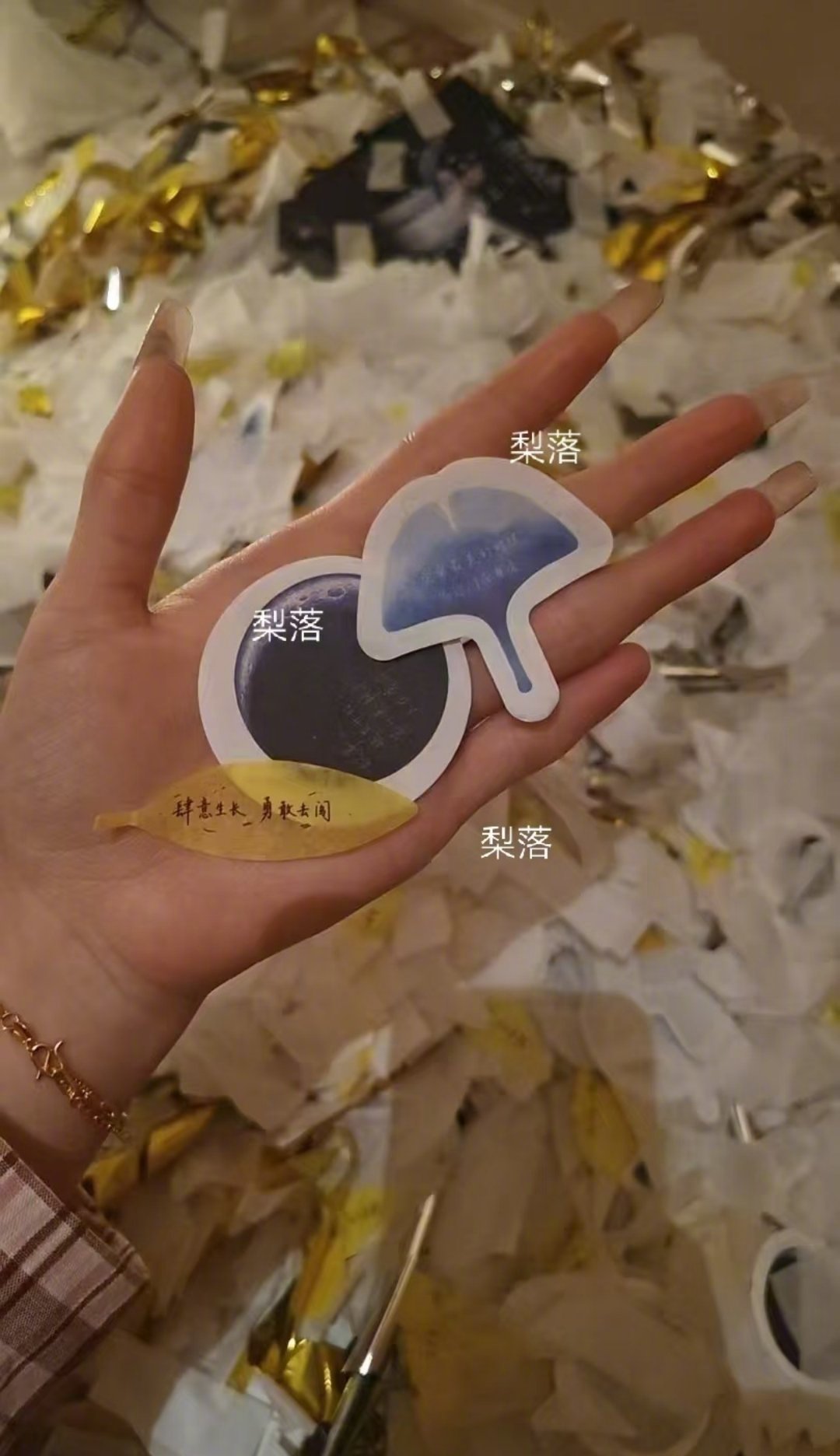 王俊凯彩带是重庆市树演唱会飘落的彩带居然是重庆的市树黄桷树叶，好细节啊王俊凯，骨