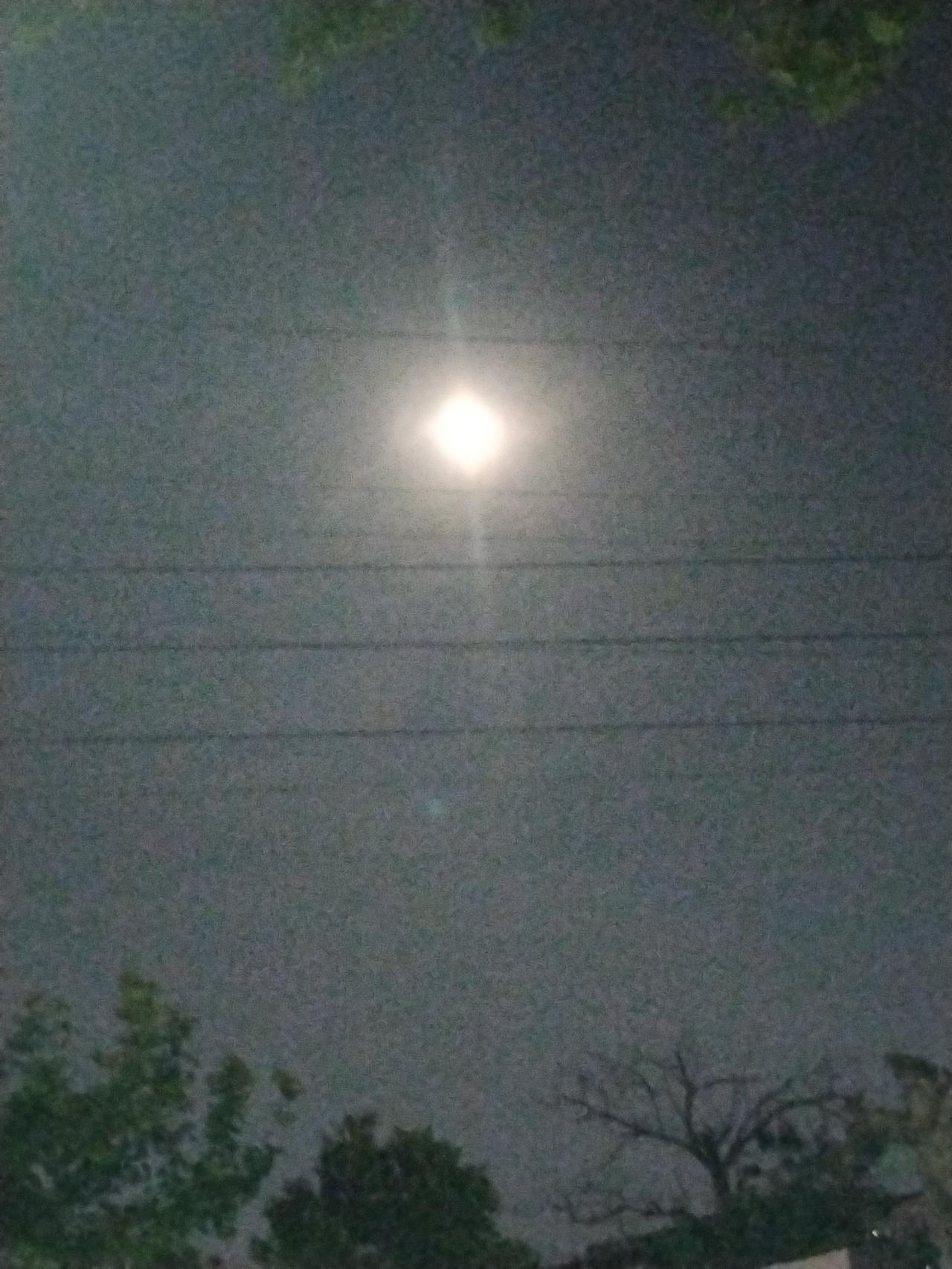 夜晚的月光洒满大地，静谧而美丽。