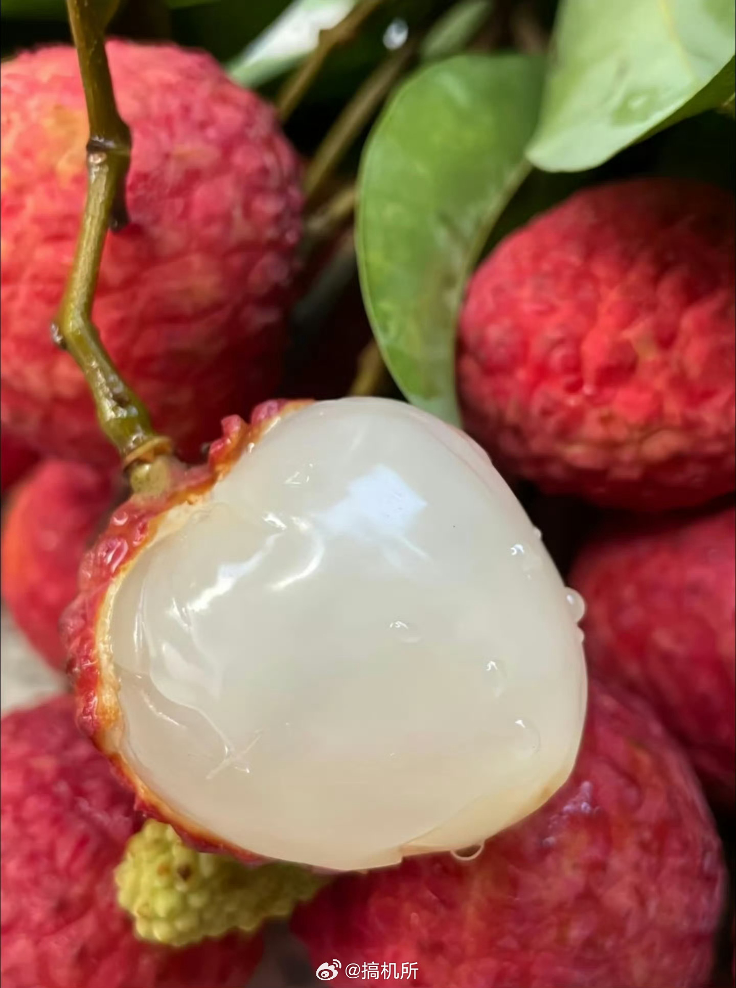 爱吃荔枝的人今年天塌了年年都能看到荔枝减产的消息，可荔枝的价格却年年都没怎么变过