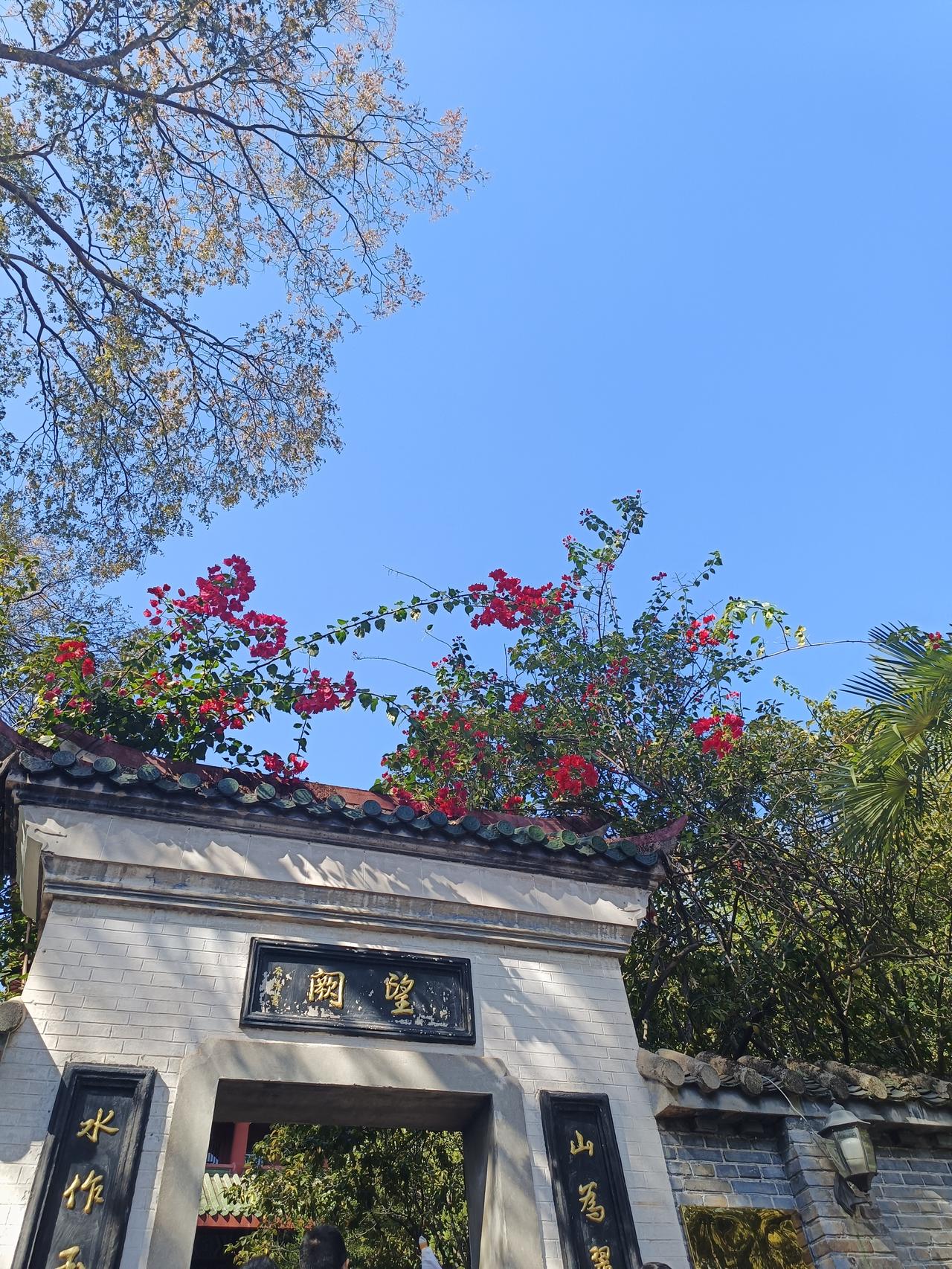 分享最近看到的一句话:你现在碰到的每一个困境，基本都是针对你性格的弱点而量身定制