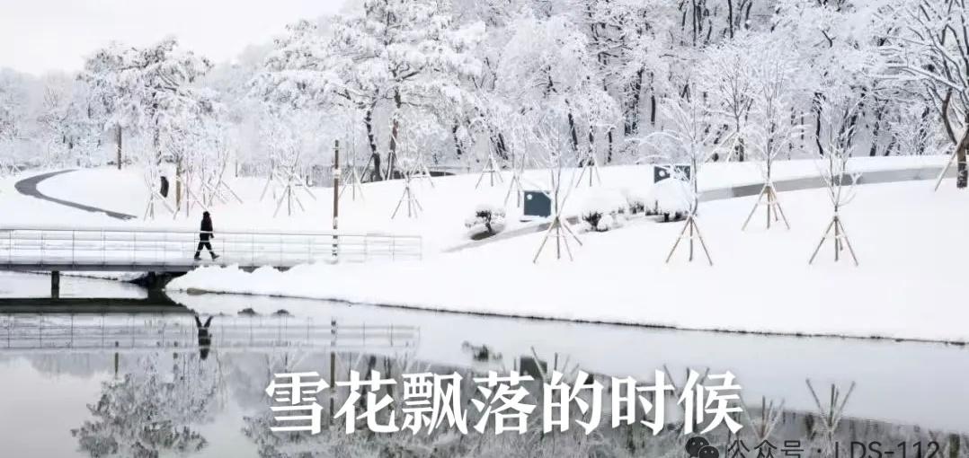 《安然的冬天》 

       雪后初晴，郊外骑行。走近沃野，一望无际的雪色，