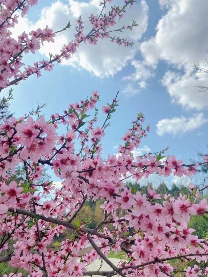 身体病了，再多的关心，也是病了。身体健康，无人关心，仍然健康。         