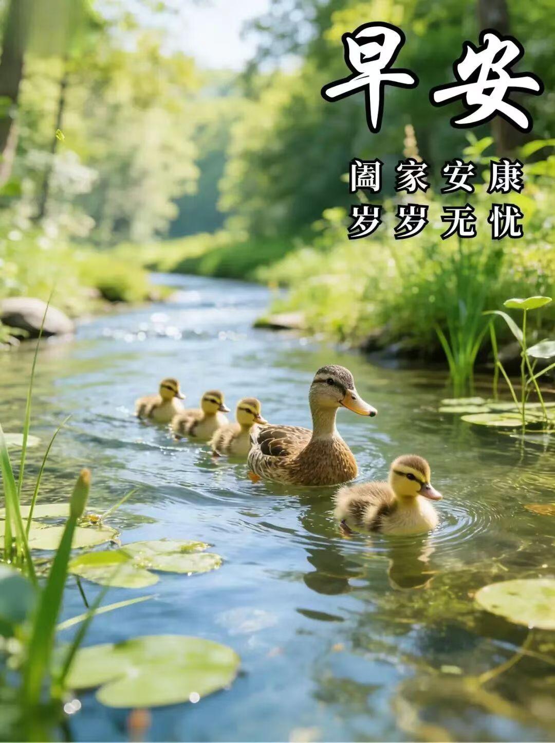 早上好，愿大家心想事成，甜甜蜜蜜[送自己一朵花][送自己一朵花][送自己一朵花]