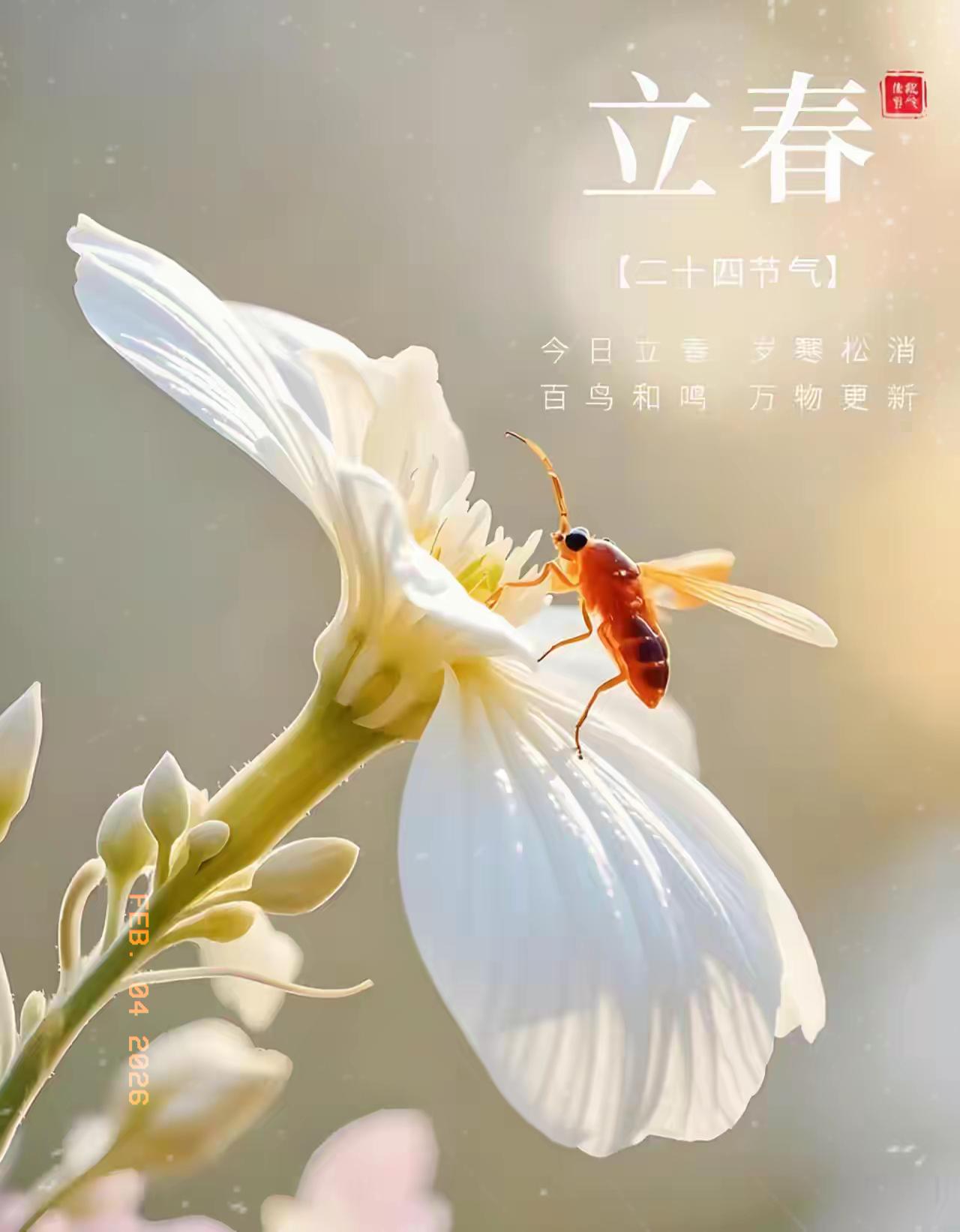 2026年立春撞六九头！这可是十年难遇的“抢跑富贵”局！

今年这立春也太会挑日