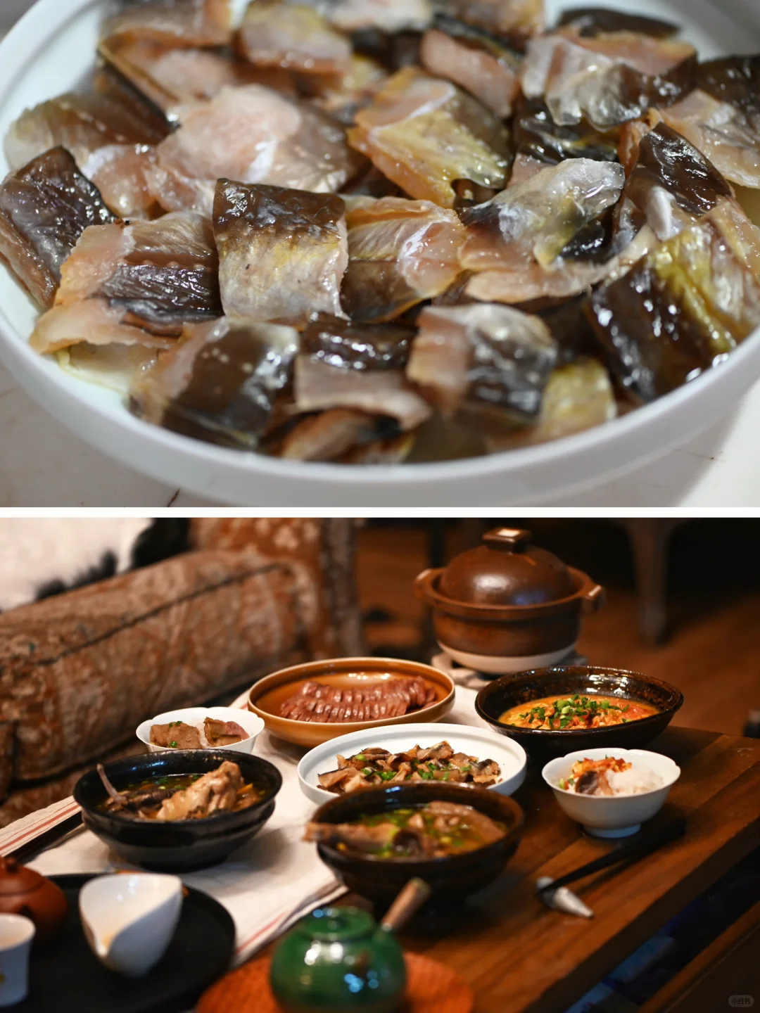 风鳗和菌子鸡汤，救助弃养猫咪 耀眼的神出现