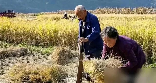 中央党校刊文提补偿历史亏欠！给农村老人涨养老金，是扩内需的关键一招！全国领取城乡