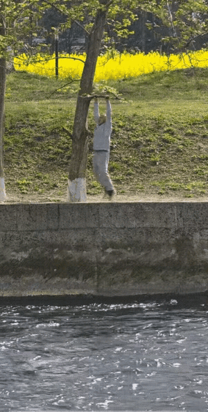 我今天刚看到老年人最好的养生就是静，就看到了这个。
这个老年人在荡秋千，而且是在