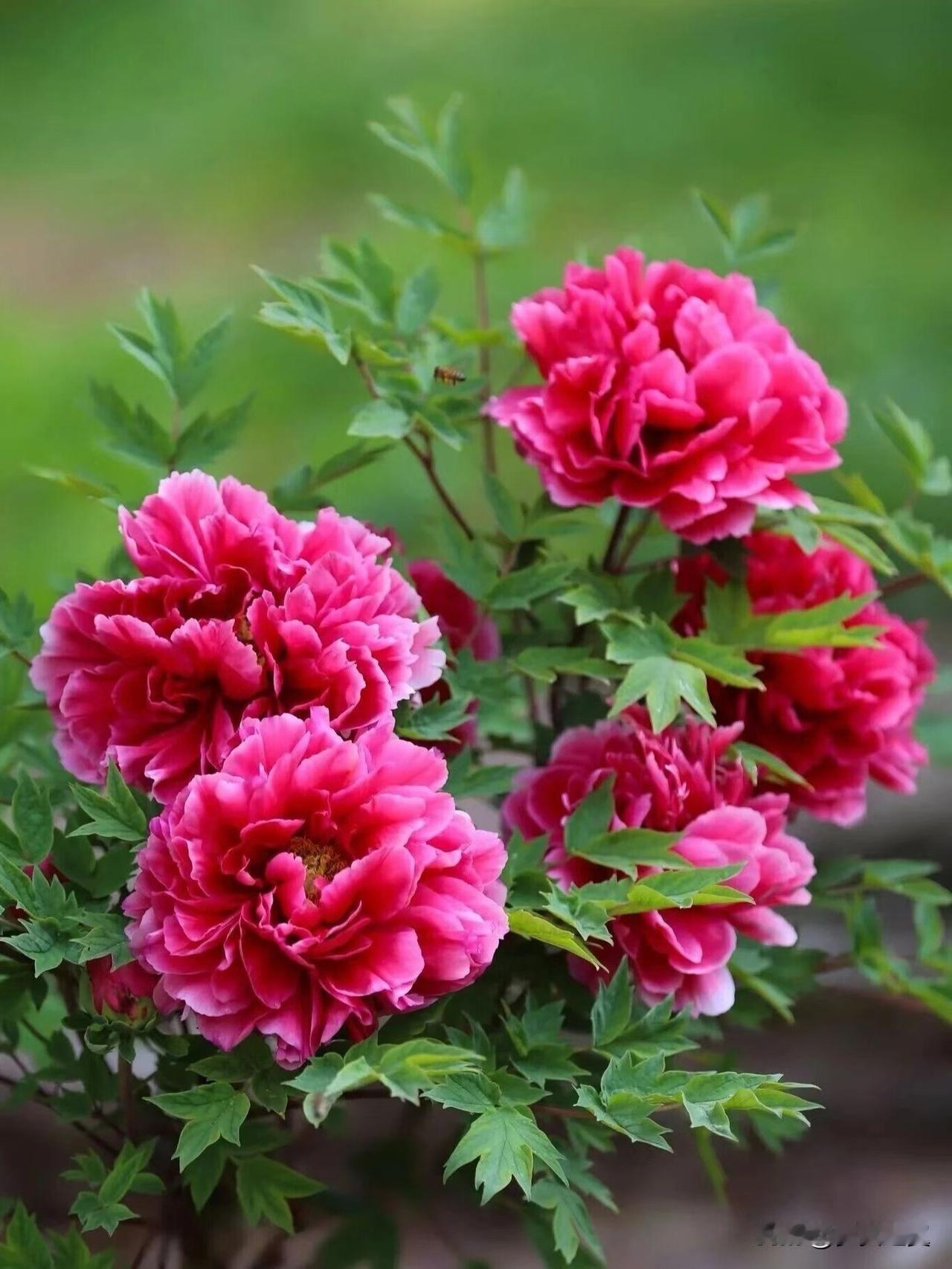 【小对联】
上：……？
下：主流。