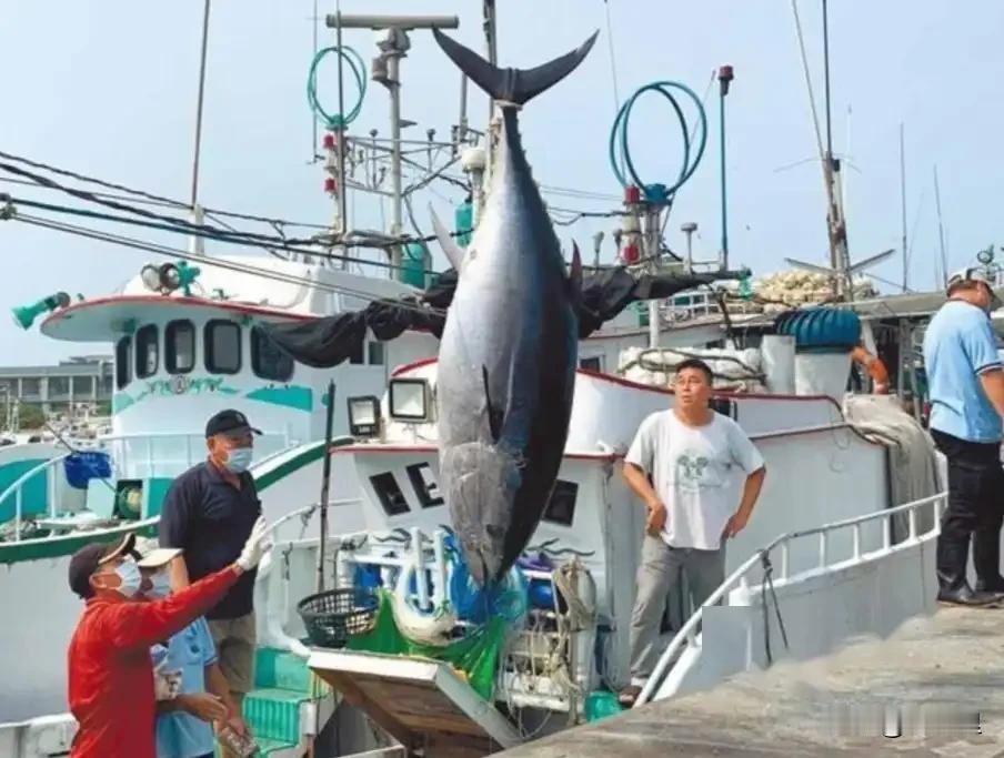 台湾巡暑立大功
海巡署这出戏，演得真是让人开了眼。

扣押6名渔民，没收750公