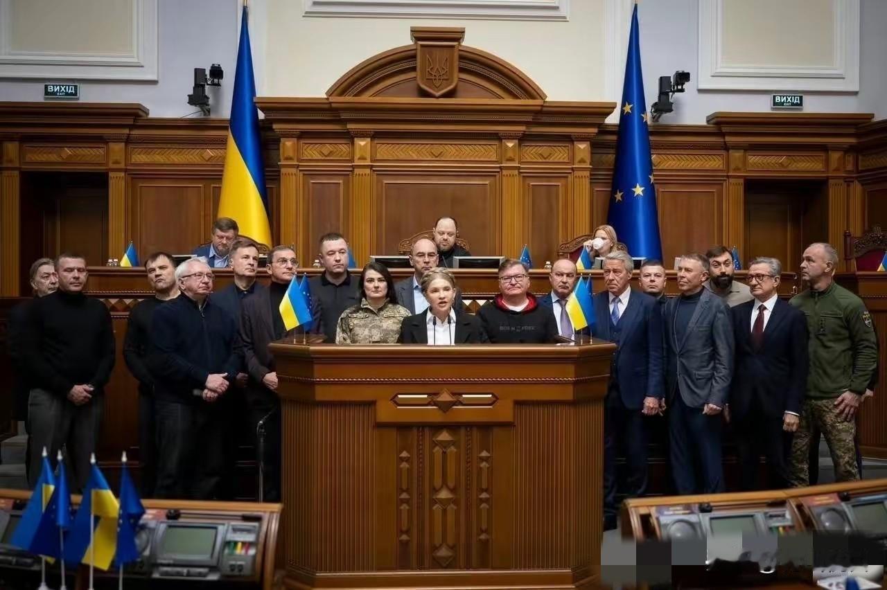 乌克兰政坛这出大戏真是越演越烈了！前总统波罗申科和“铁娘子”季莫申科这对老冤家竟