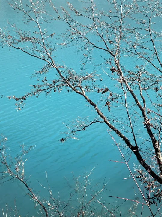 犀牛海