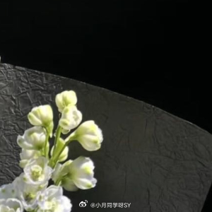 晚安心语未来生活的所有幸运、都是过往努力的积攒愿今晚晚安，愿未来所愿皆如愿🌙 