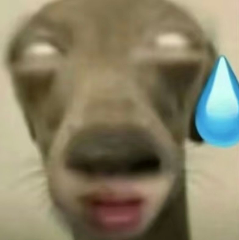 一件破衣服还搞15天预售，不是现货就不要拿出来卖，恶心人 