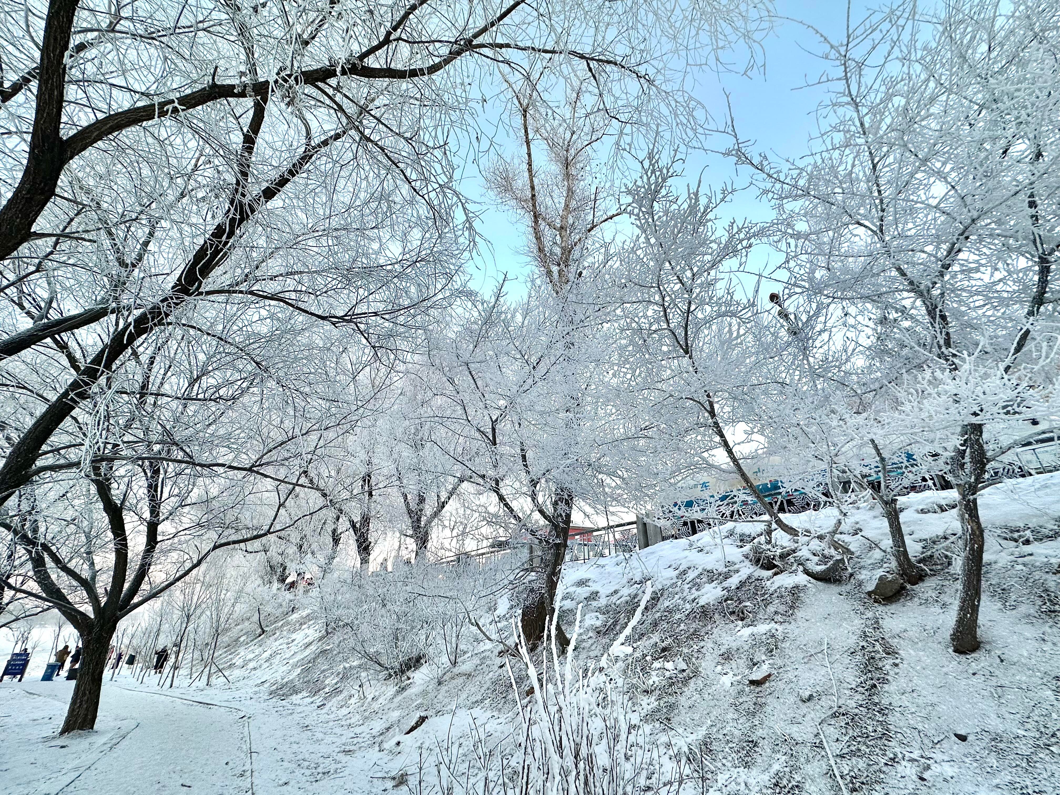 属于吉林的雾凇震撼❄️太美了！银装素裹具象化！我去这天是五星 ，特别美，三星以上
