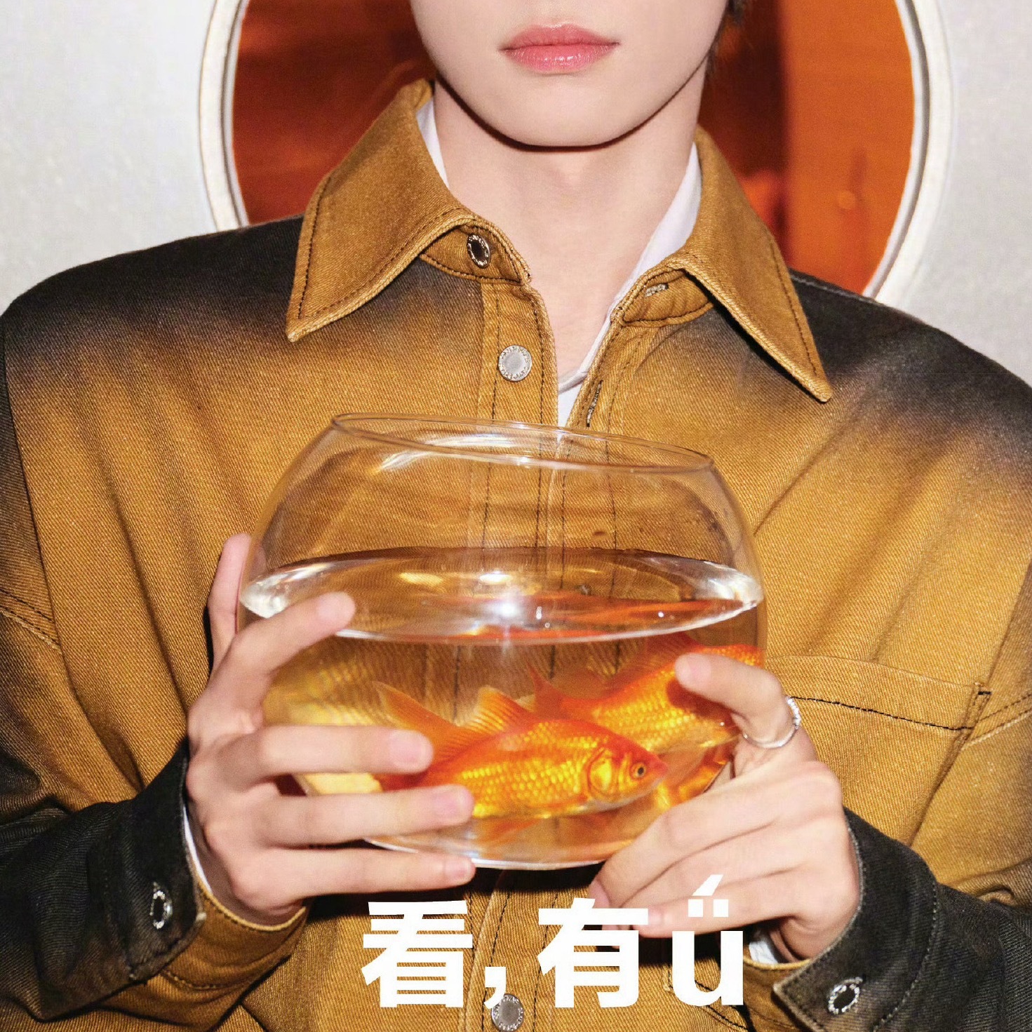 全世界最不喜欢鱼塑自己的人 
