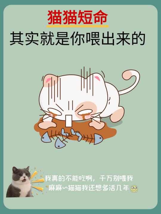 养猫必看❗这些食物别乱喂