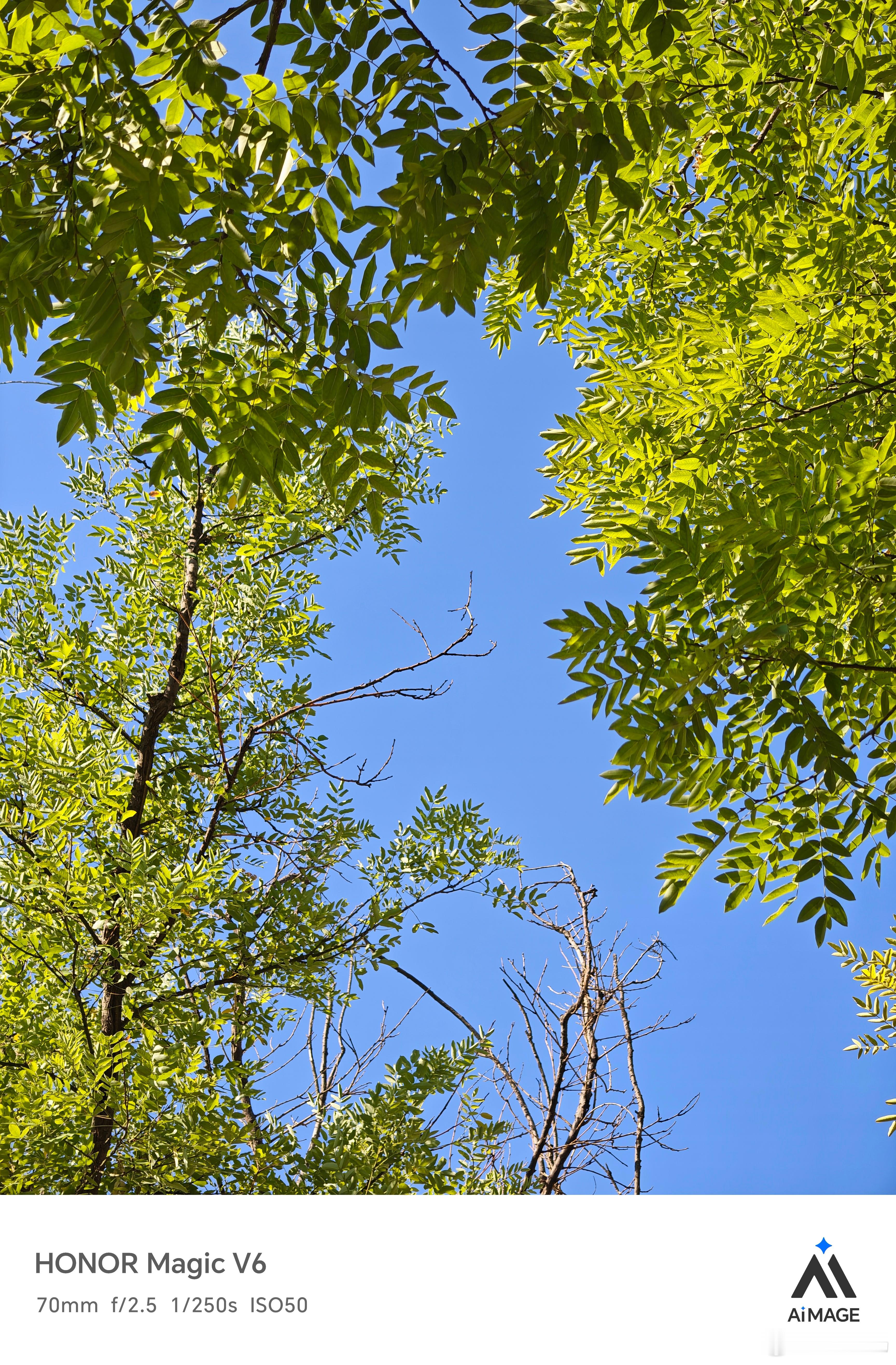 早上好，今天天上没有一丝云，应该挺热的～ 