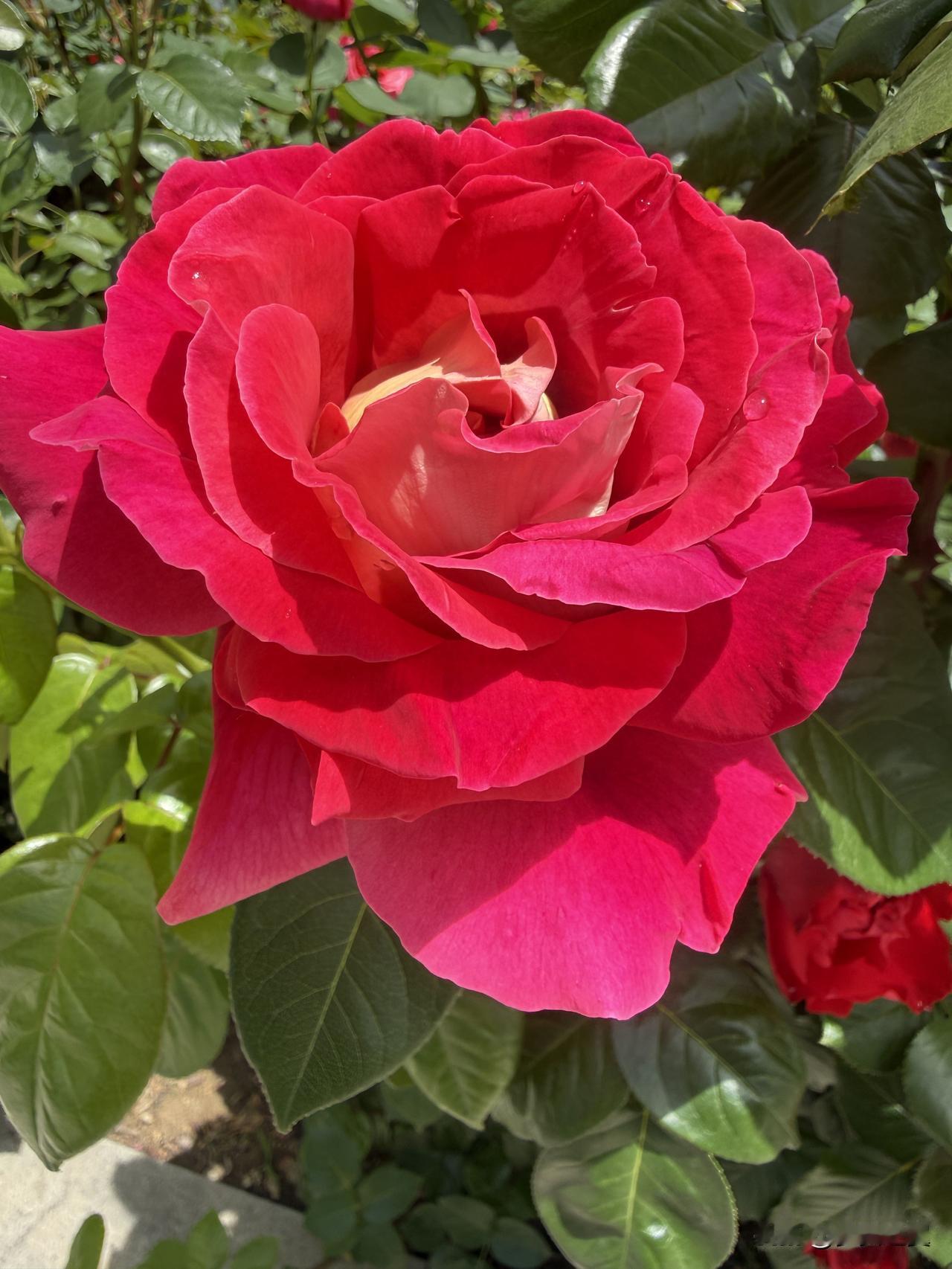 【小对联】
上：耐看；
下：……？