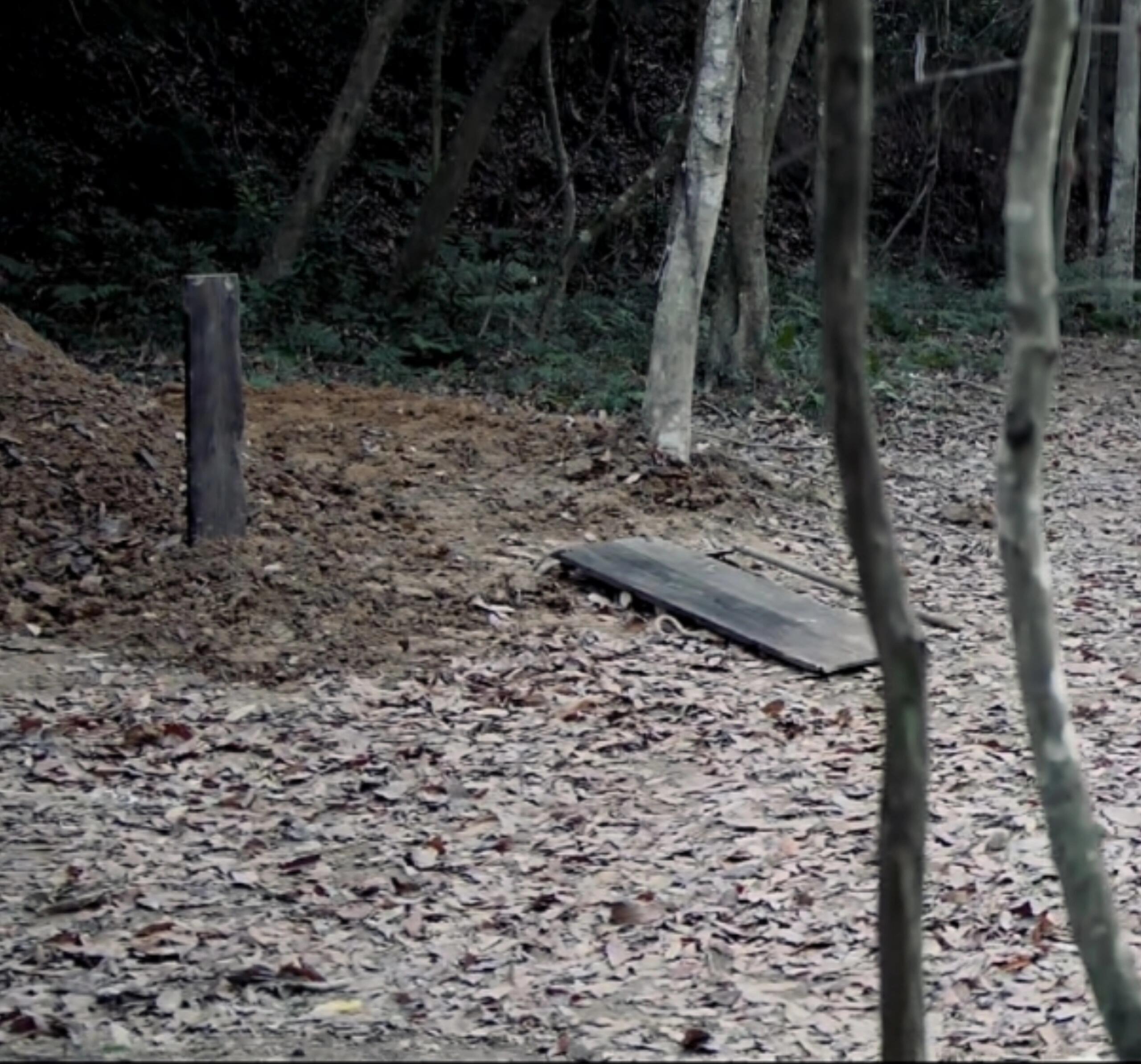 长安二十四计只有28集的原因找到了 破案！谢淮安一己之力扛下所有，28集全是干货