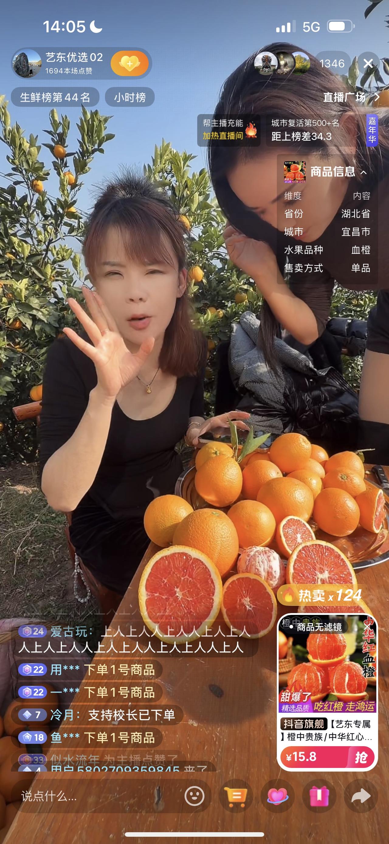 柳艺东带徒弟们在湖北宜昌秭归县橙园卖中华血橙，在橙园边现卖，昨天和今天早上共卖了