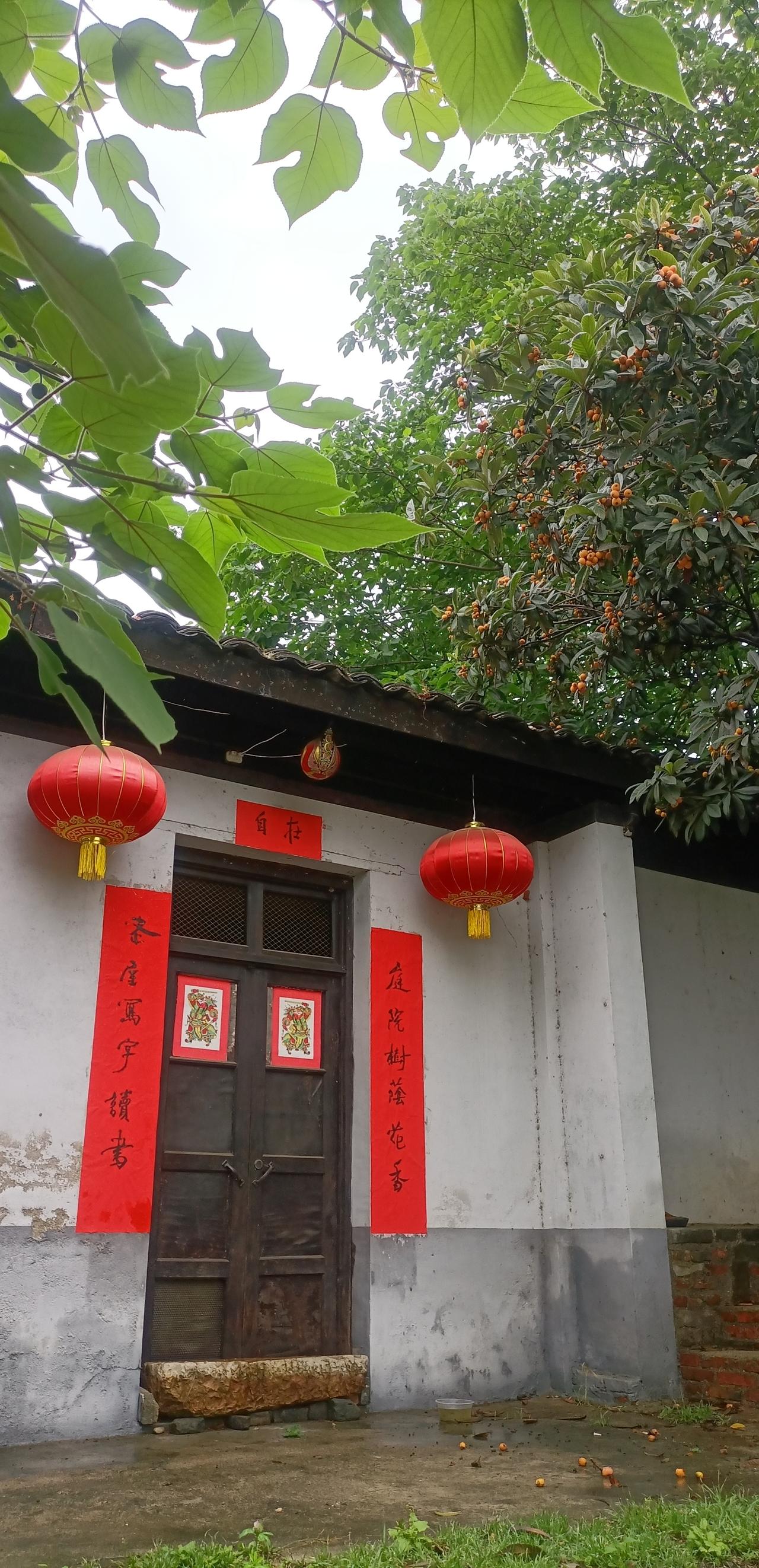 【夏之韵·一切都是最好的安排】夏日生活打卡季 

人生的玄妙，
常常超出我们的预
