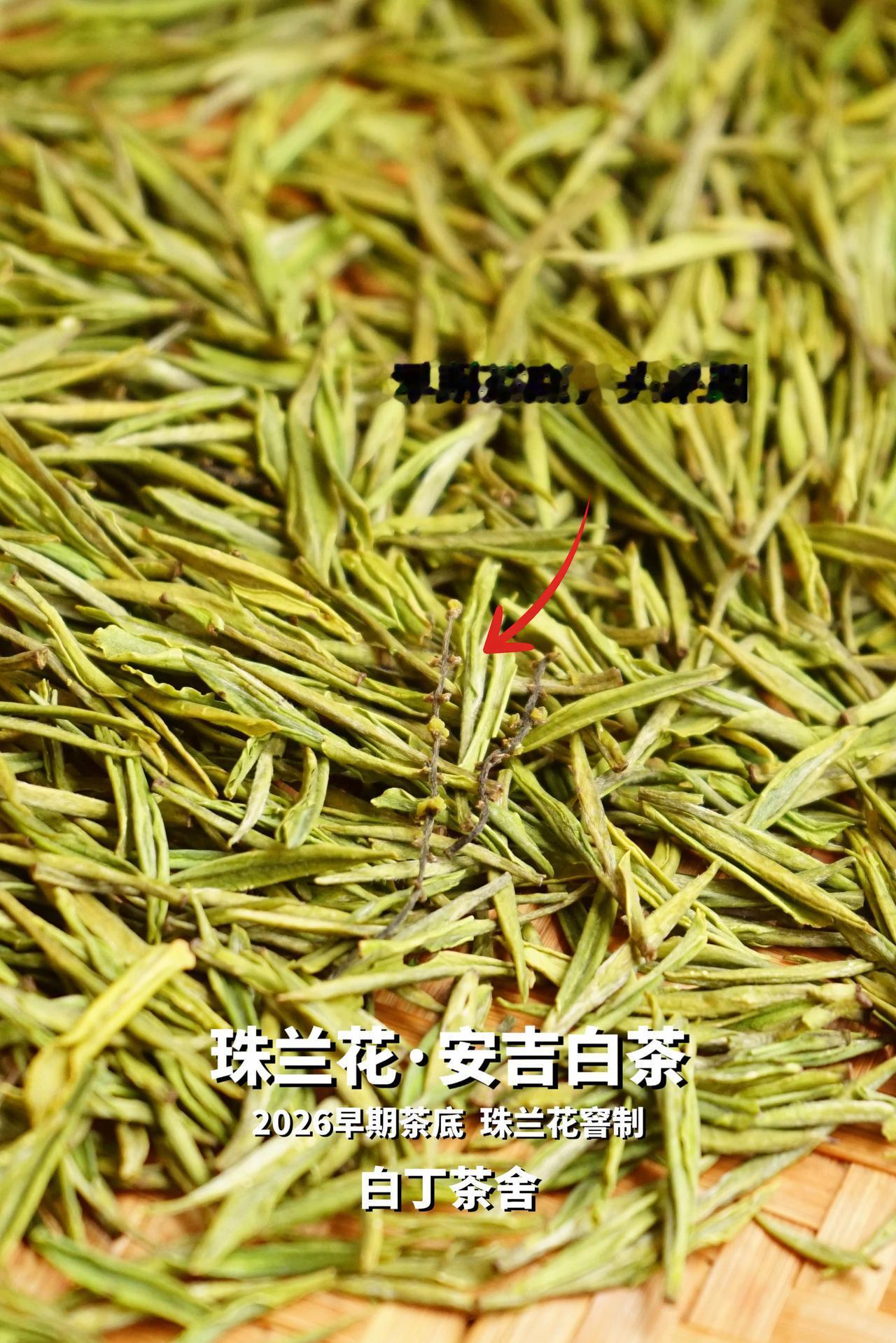我的珠兰花·安吉白茶做好了[呲牙]珠兰花又叫金粟兰，珍珠兰，兰香清雅，和安吉白茶