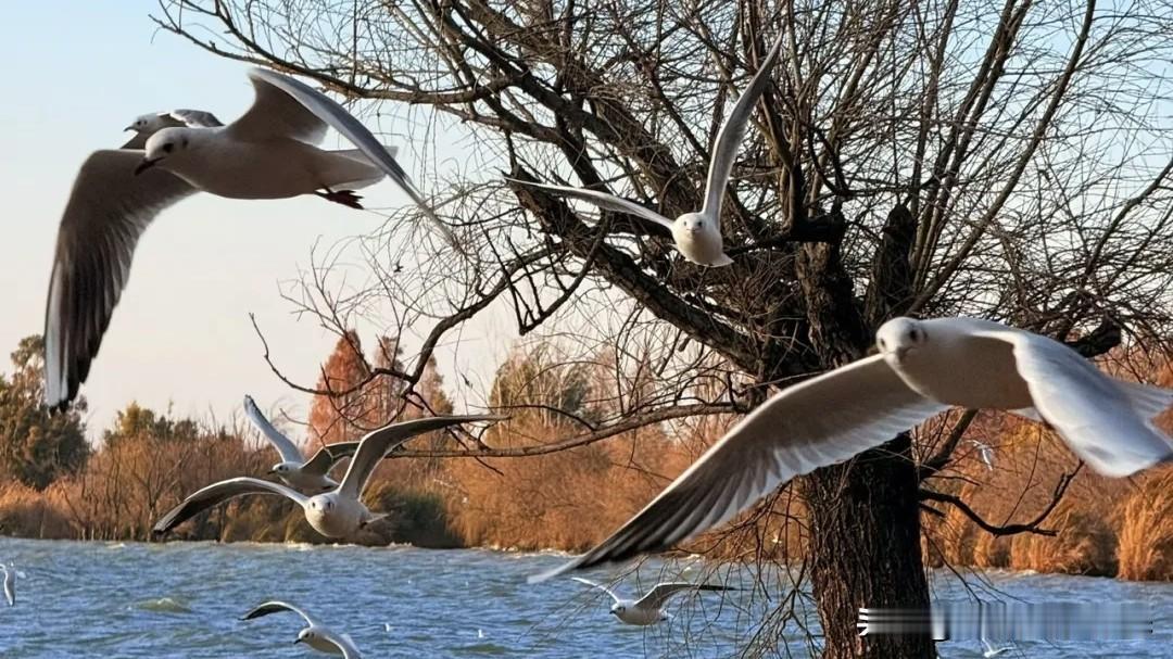 亏妻的种种表现
1、生活中不尊重，把她当保姆。动则对她呼来喝去，把家务和孩子全扔