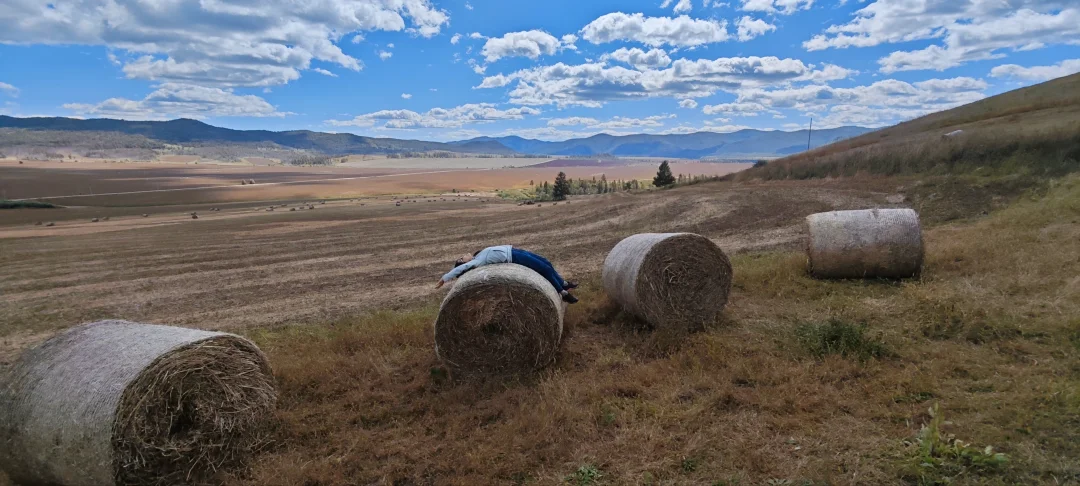 在呼伦贝尔自驾要当心拉瑞士卷的大车