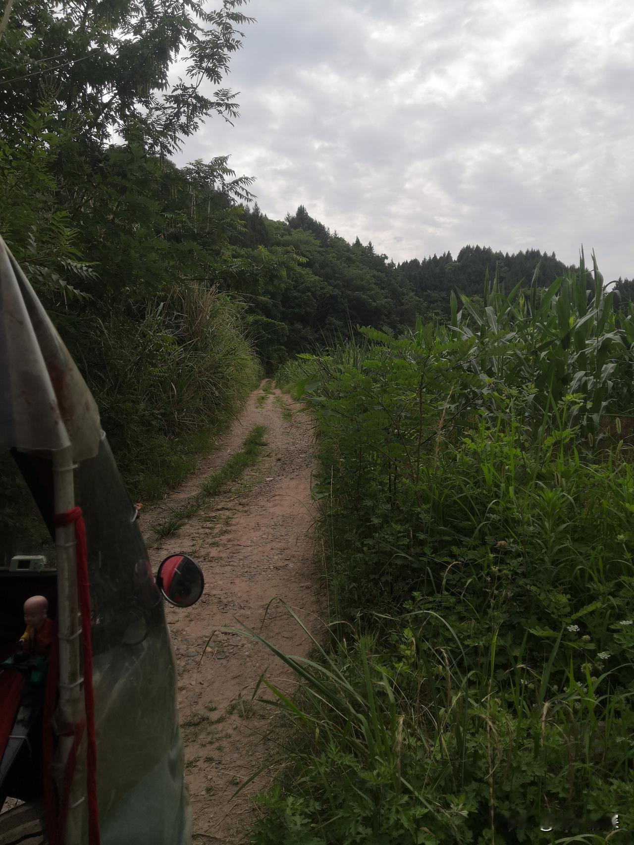 中江县积金镇，这是一个很美的乡镇，但是赶场的时候会经过一段土路，这就是20多的以