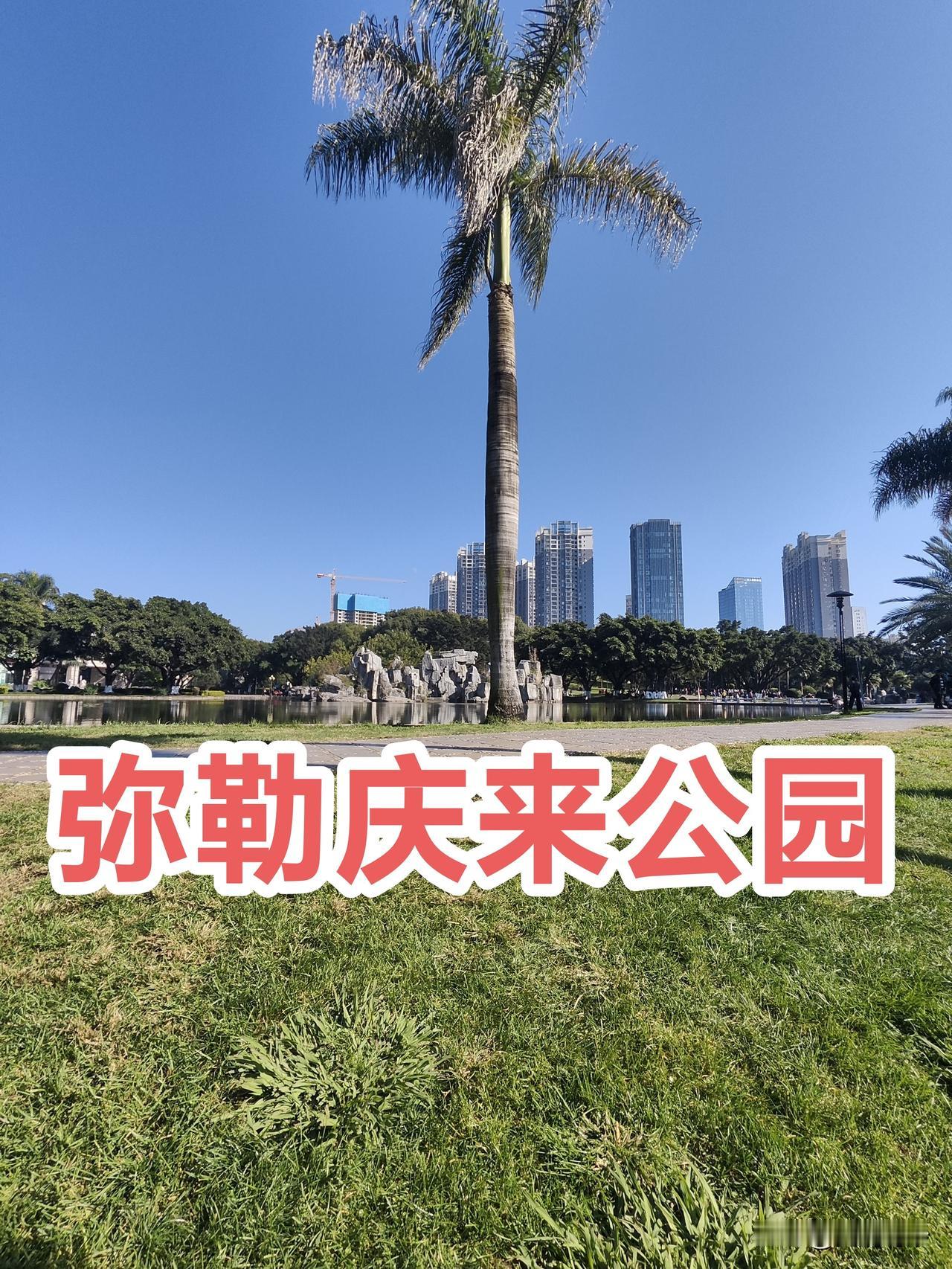 云南红河州弥勒
11月29日，晴，万里无云，温度3~20度，不在太阳底下晒着，感