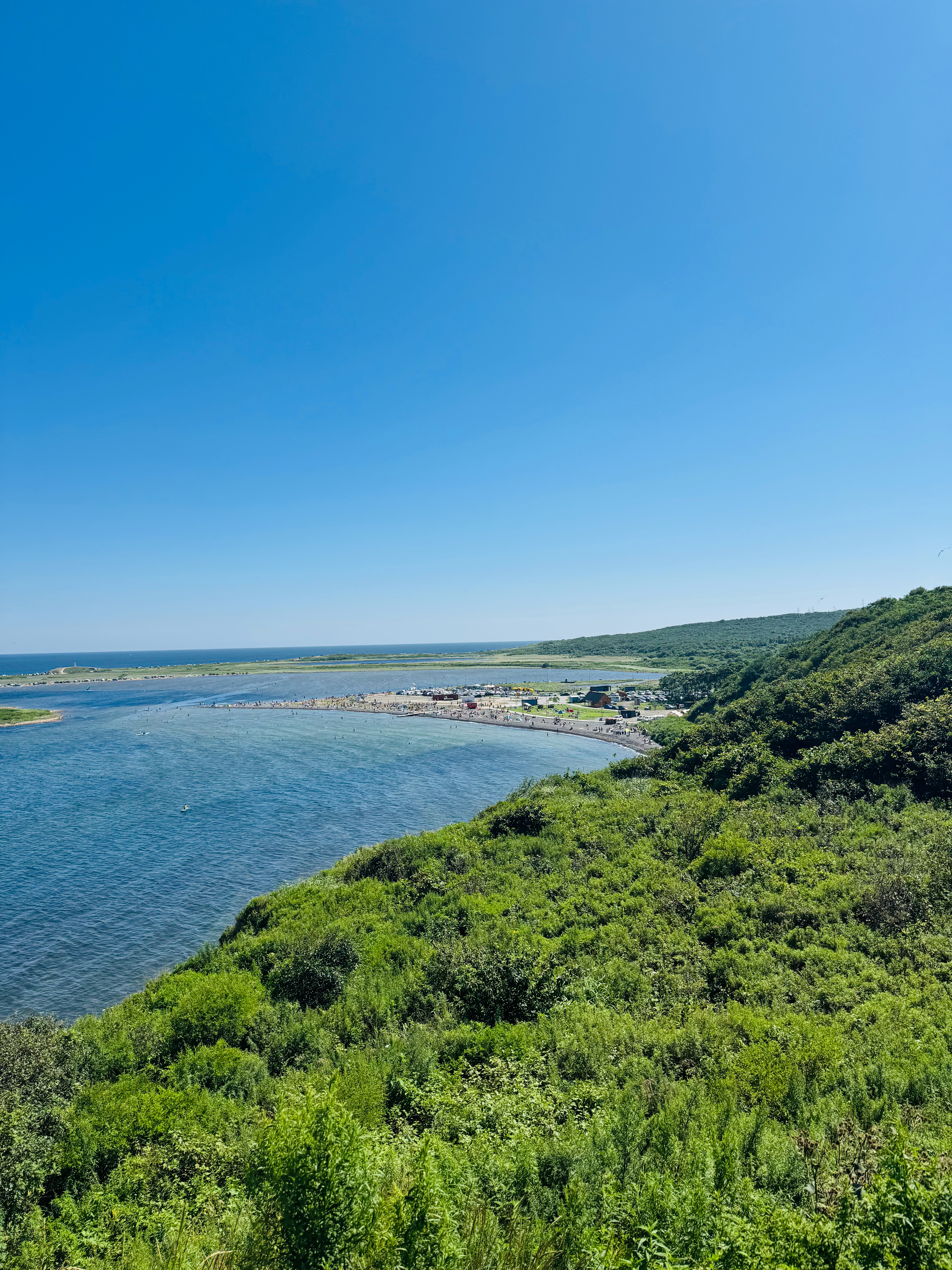 我发现，高纬度的海滩（比如韩国济州岛、中国北方一些海岛甚至新西兰南端一些海滩）多