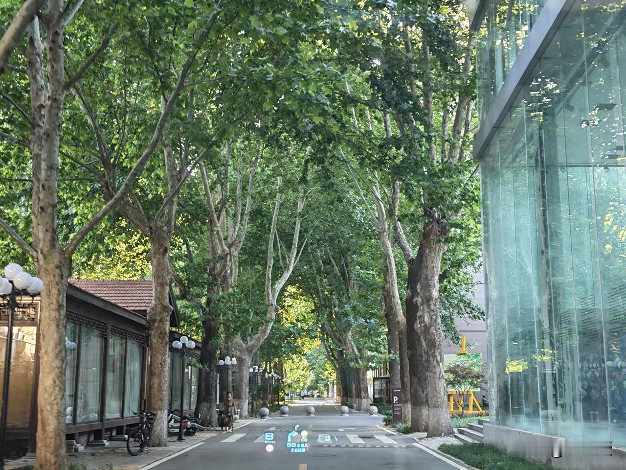 今天中国传媒大学开会
假期的校园还是很安静的
加强区域国别研究，做好国际传播工作