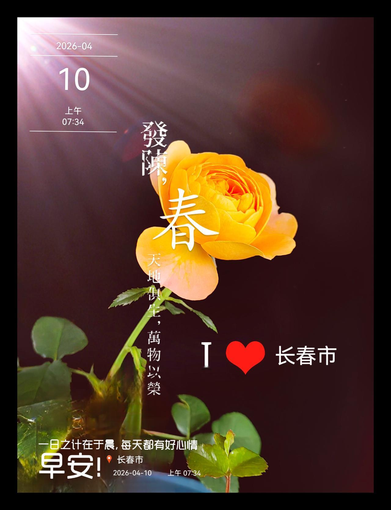 春日晨光洒在长春的大街小巷，这座城市仿佛被唤醒。“枝间新绿一重重，小蕾深藏数点红