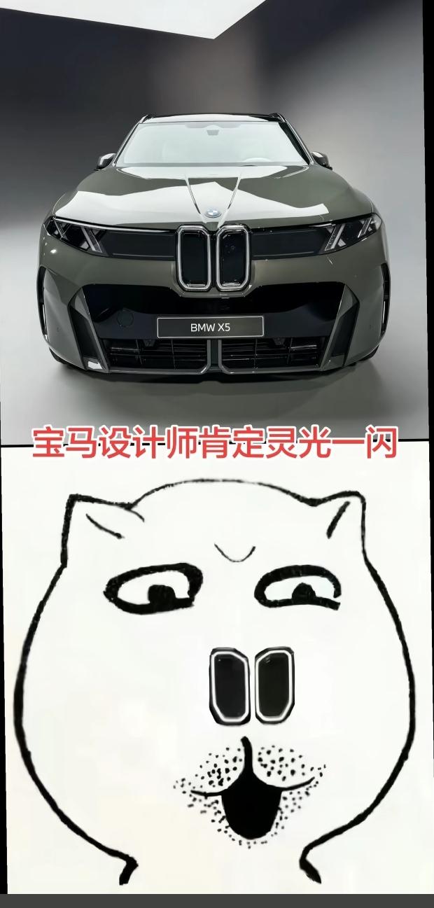 宝马的设计师这几年似陷入了谋种大鼻孔执念。