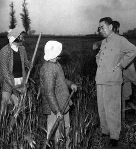 1974年得知周恩来病重时，毛主席：问问总理现在的情况，怎么样了
“1974年2